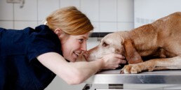 Knochenbruch bei Hund und Katze Behandlung beim Tierarzt in Köln