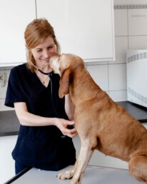 Tierärztin Katharina Kaiser - Tierarztpraxis am Nippeser Tälchen in Köln