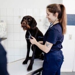 Hund und Tierärztin Sarah Lettenmeier in Behandlung - Tierarztpraxis am Nippeser Tälchen